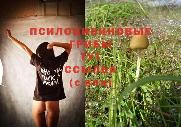 герыч Абаза