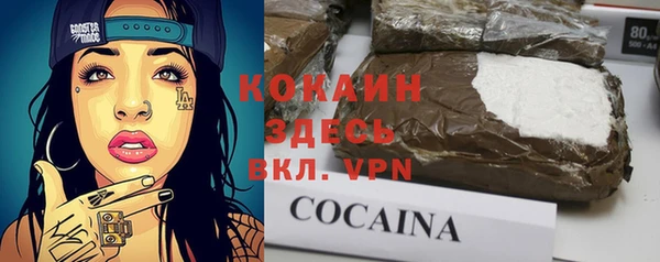 стафф Новодвинск