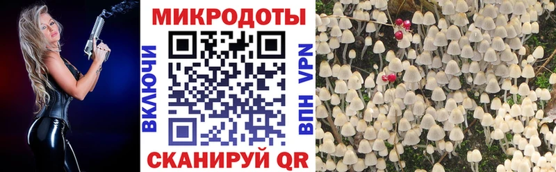 kraken как войти  Ступино  Галлюциногенные грибы ЛСД 